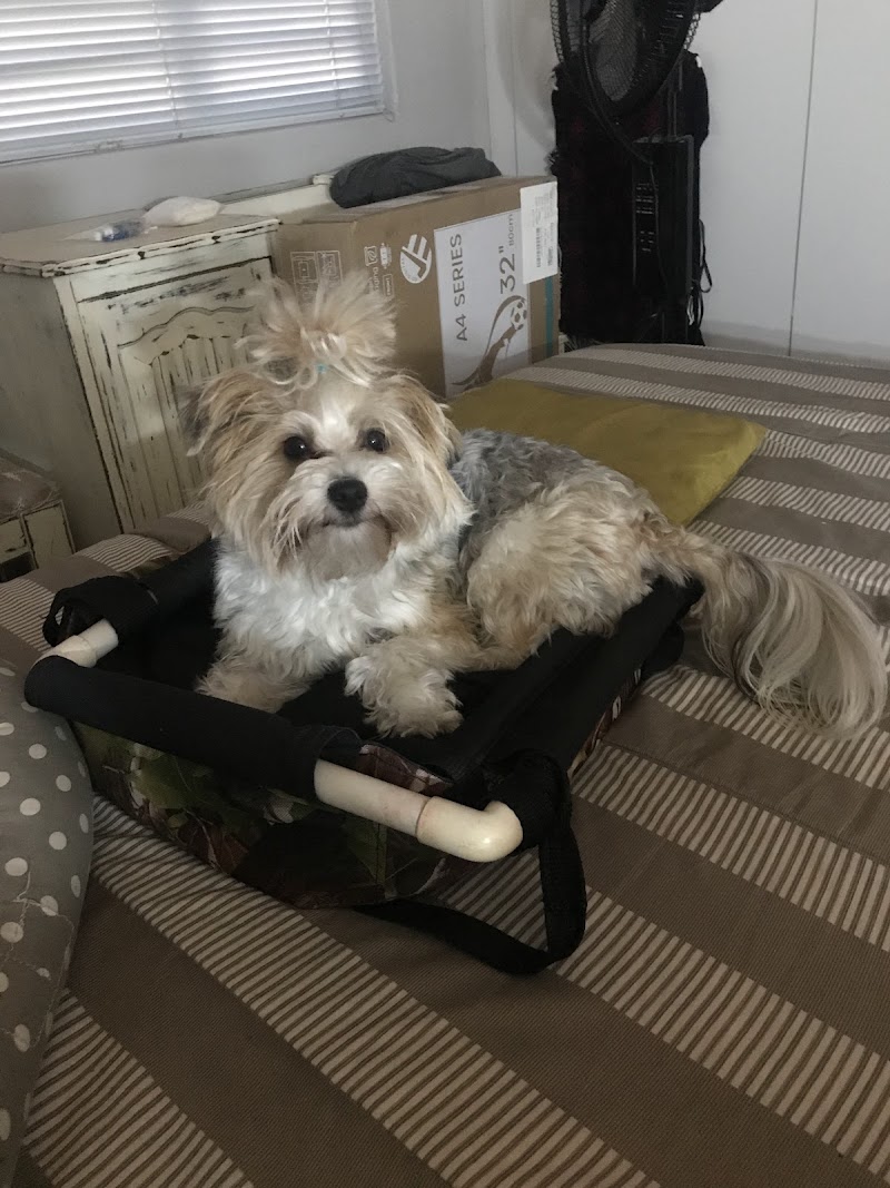 cutiepie grooming parlour