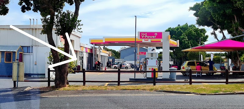 Fresh Hair Pet Salon