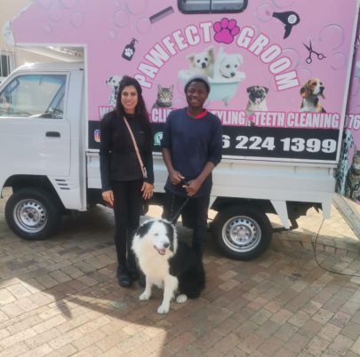 Pet Groomer - Pawfect Groom - Dog groomer - cat groomer