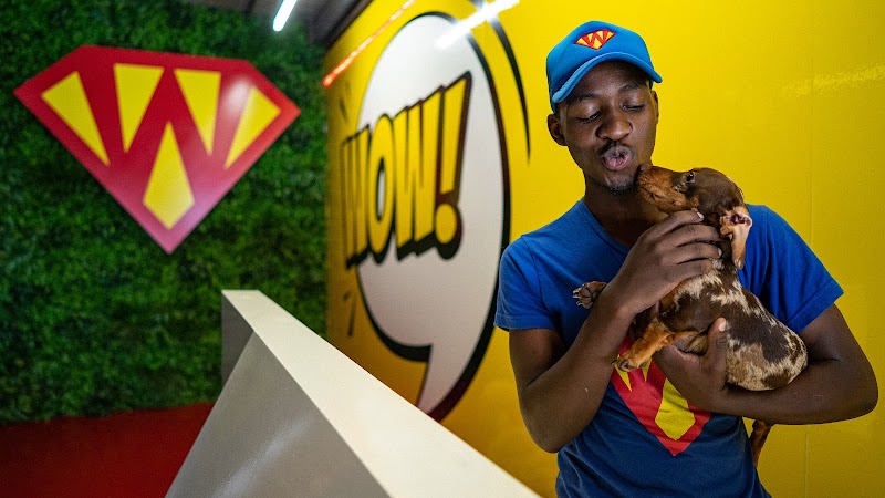 SUPERWOOF Dog Hotel & Daycare | Foreshore